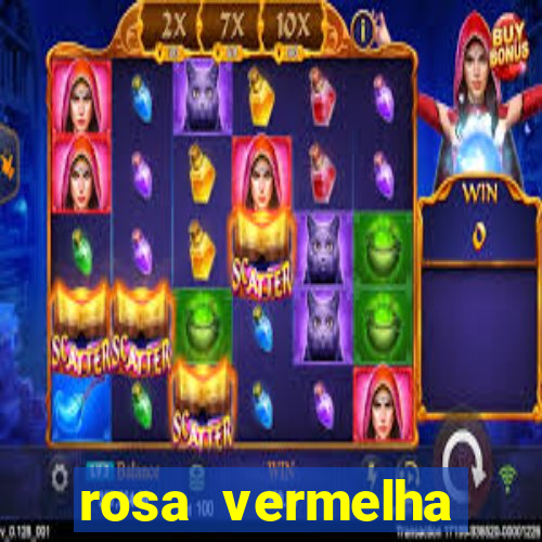 rosa vermelha (letra e cifra)